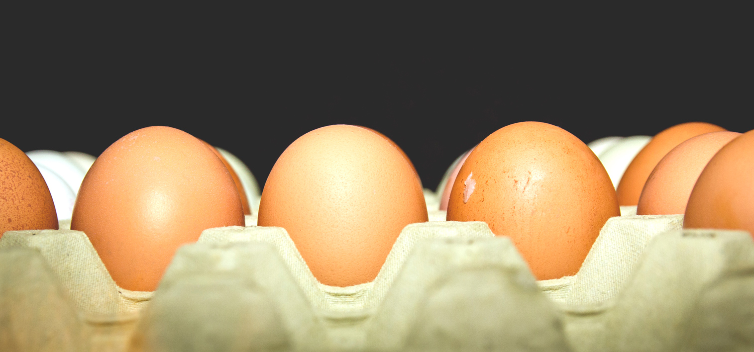 Information regarding residues of Fipronil in eggs